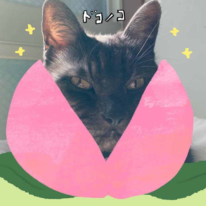 33f07050 6feb 4d75 8b10 c0acde8c4ade 1771927715667