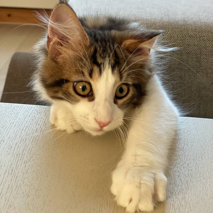 33f08c11 278a 4932 ba25 f5d86f40ae94 1633730548568