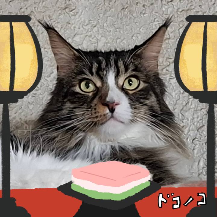 33f09def 1991 4887 9351 06ad0d85115f 1741233269305