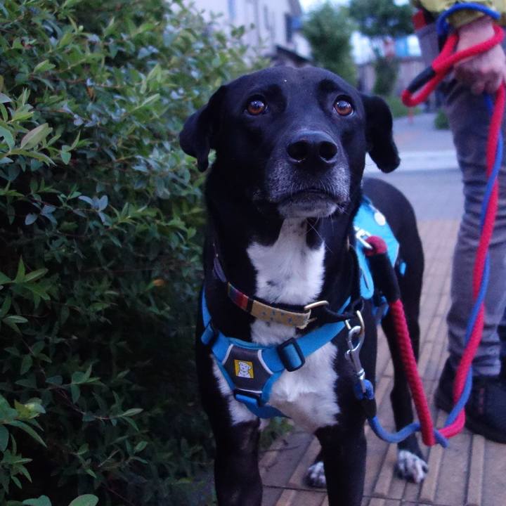 33f0beb5 ff94 4fa5 9fc1 686830f8902e 1619953726263