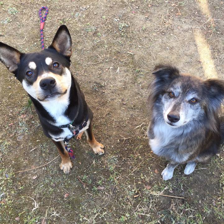 33f13554 24eb 4371 accd f032ca59c17f 1515830382713