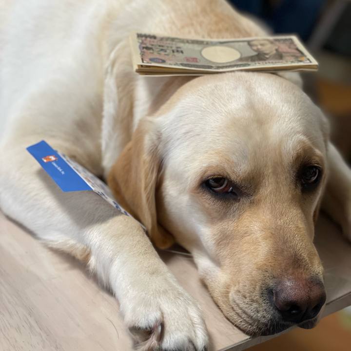 33f15d38 566b 4331 a6b0 24674475f656 1682674590431