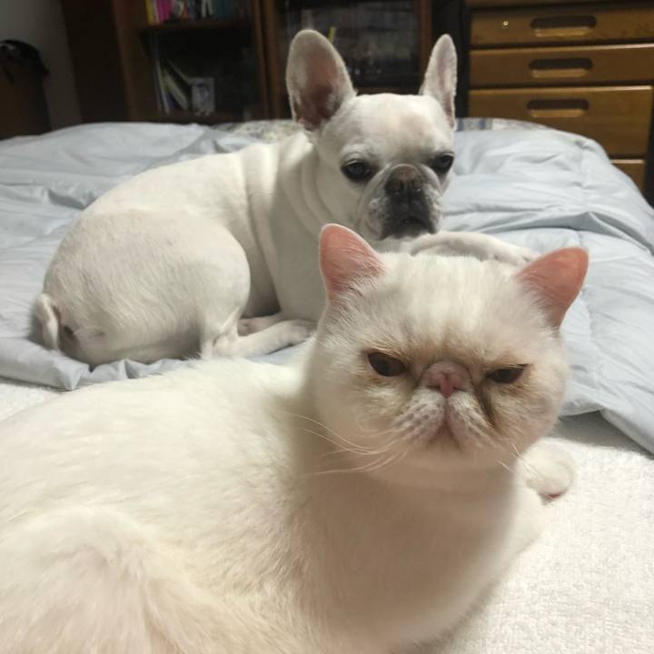 33f18576 1af4 4a03 b8eb 9e4ad92ae2ec 1654856560374