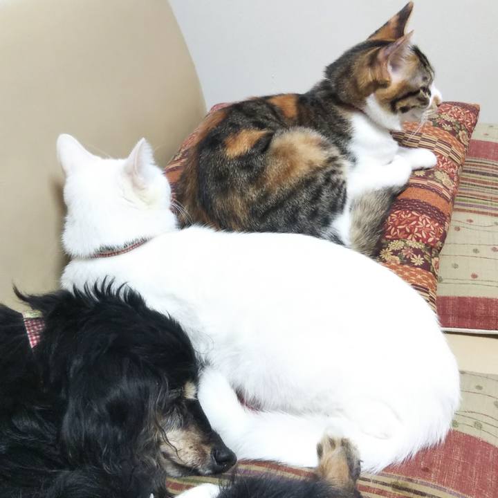 33f18b6a a9a5 4c35 a03d 21ed75d34bc1 1635548602163