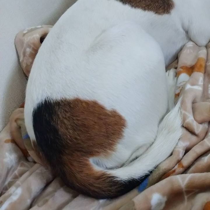 33f19983 b982 4b72 9fde 5f27bca83d79 1602820387533