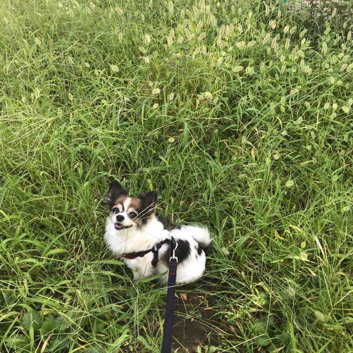 33f1bb00 c553 4ee5 88ed f5ef3d81a070 1664604532207