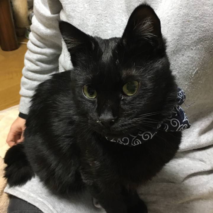 33f1c280 4609 4c40 af72 5ebea2dd208f 1548671122328