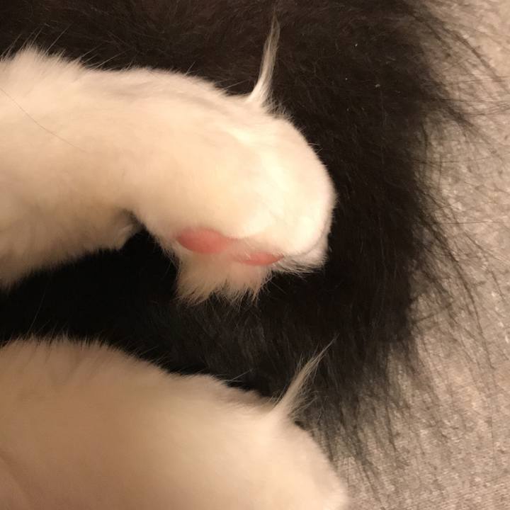 33f1ca86 7a9f 48ce 9f87 3a0005da55d1 1515292447781