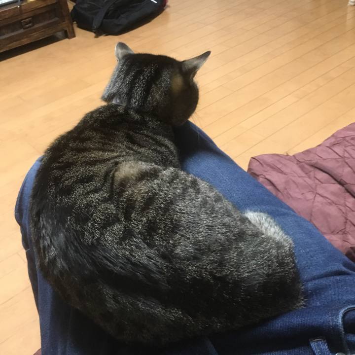 33f20495 c68a 42b6 bf22 284dd75d5ef2 1574495558453