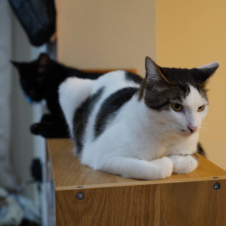 33f23172 4703 4eb7 b90d 2ecb01b9fa42 1571788049087