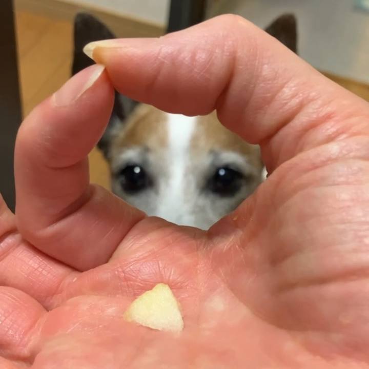 33f276b7 6fdf 4a89 ac02 ebe3859df09f 1669937394875