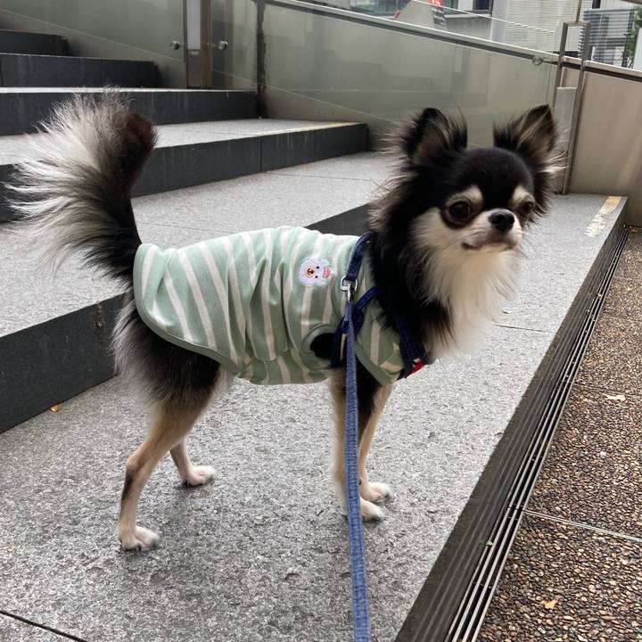 33f2782d 15e8 486f 81a2 d5924824d734 1635685983908