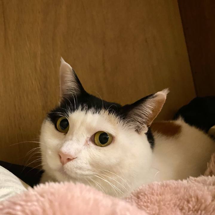 33f28855 2fbc 4385 b017 d7ddbb567141 1747141046224