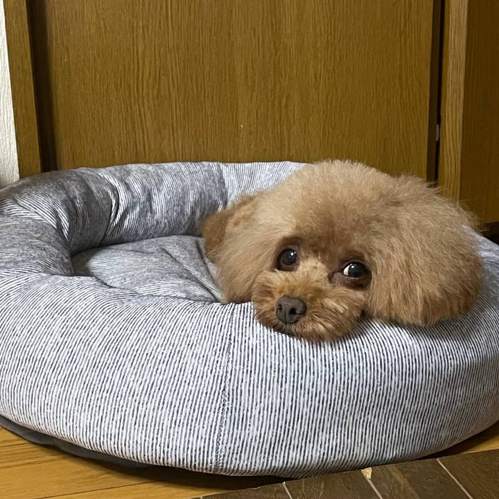 33f2a5f9 f8f0 497c a1b4 da47004ded75 1627803969259