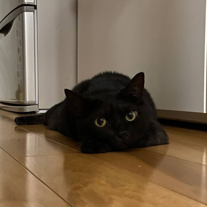 33f2c051 7ecf 49cd 8e44 ad94dc1f7e86 1656692625005