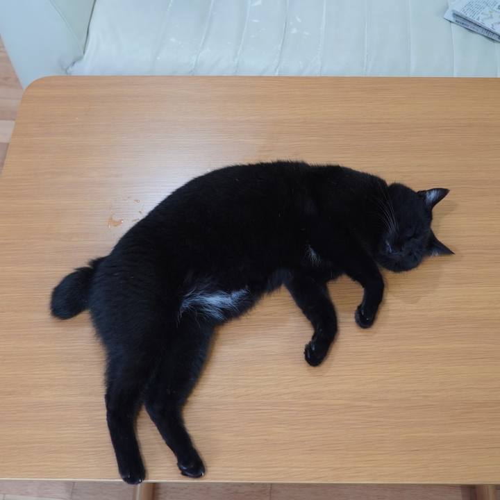 33f2d39a d707 4c63 9387 5610806abe66 1596671479279