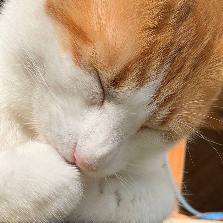 33f2d4b5 be97 45af b4b3 72f652f99416 1540095342174