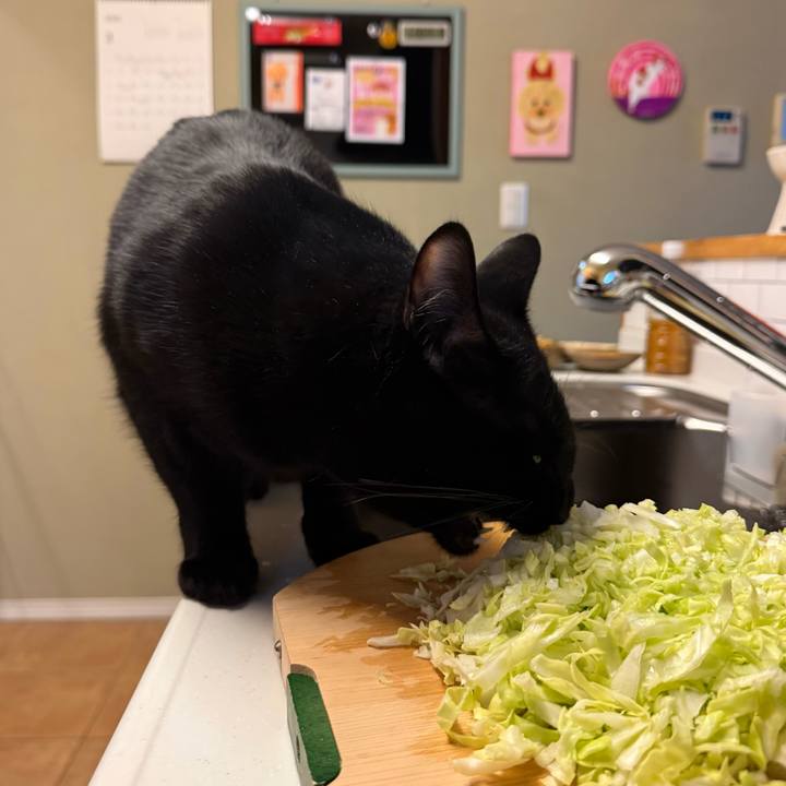 33f2dd81 8682 48e2 a53f e020c3da8de4 1773478882695