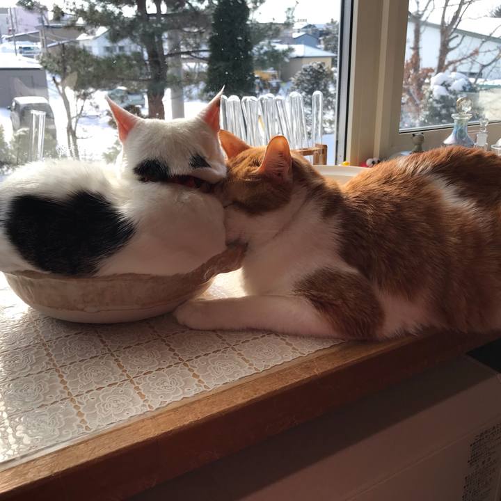 33f2ff3d bd7c 4d49 be04 3c1aa41b1091 1613003935132