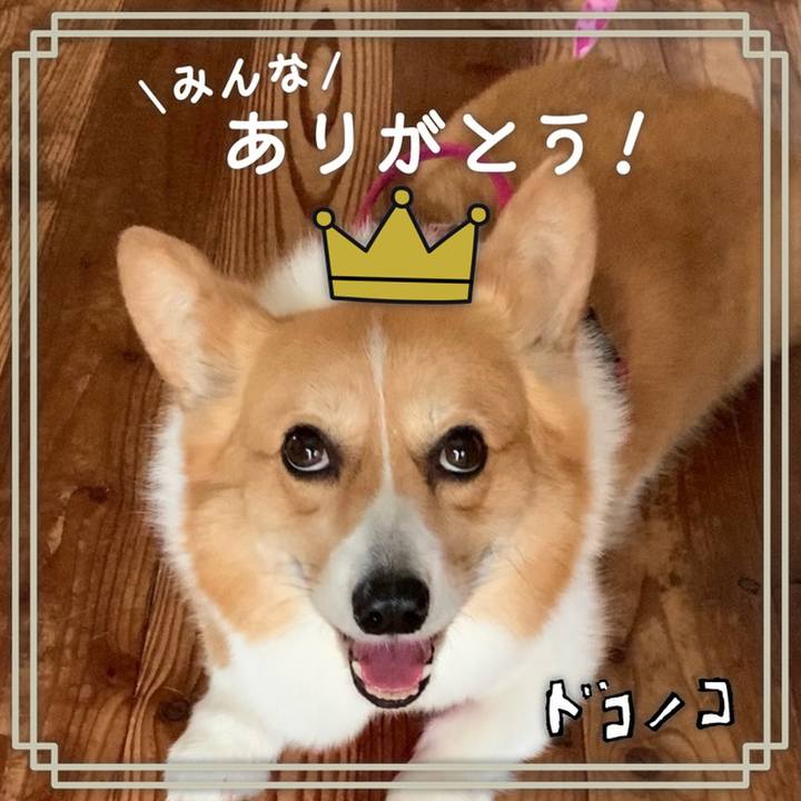 33f3517d e24e 4c13 8130 0bc137cd310d 1622880400019