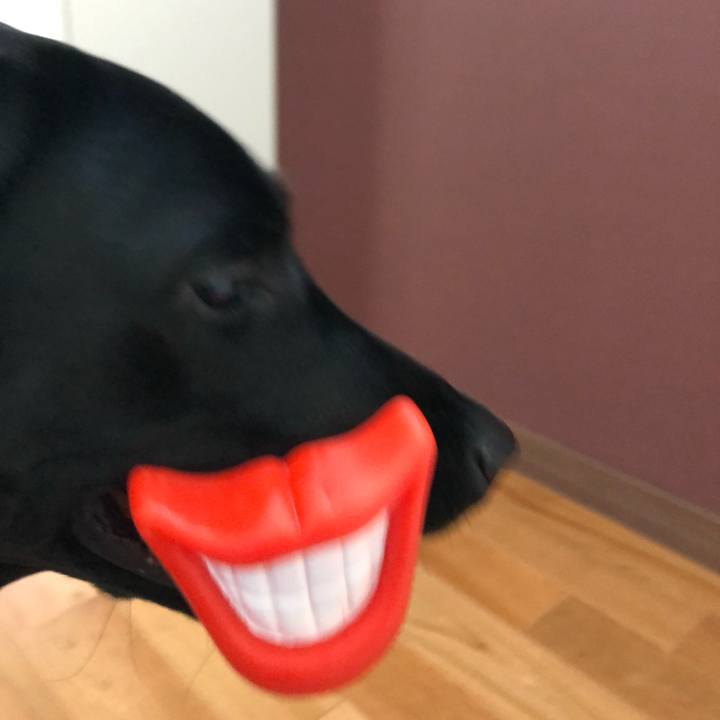 33f351fd 9f28 42da 847f 589f0c2a3a77 1559811629601