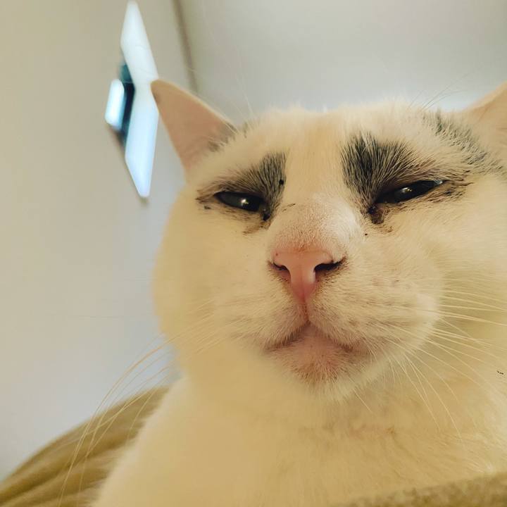 33f35d55 9654 4513 b6bb 4d1252c3a150 1619717275884