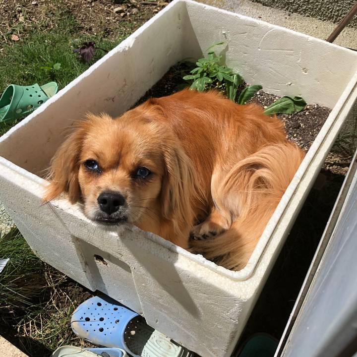 33f368b4 830f 4c4e a75e dd637e61ca45 1529805433327