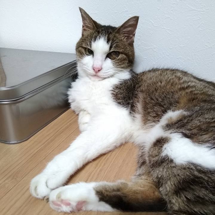 33f36fb6 60d8 4029 9720 efff58c8bd98 1564489449912