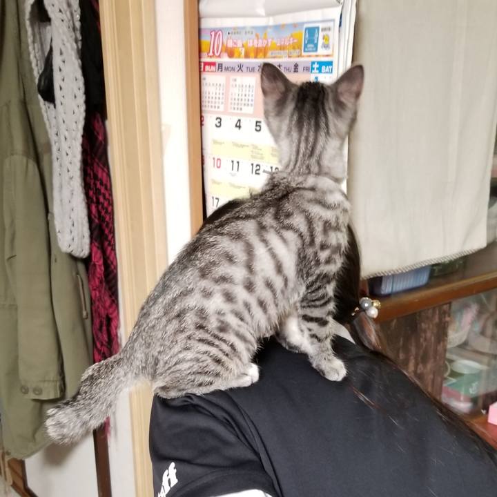 33f37744 ab67 46db 99e0 4f6309af0e1f 1665571207632