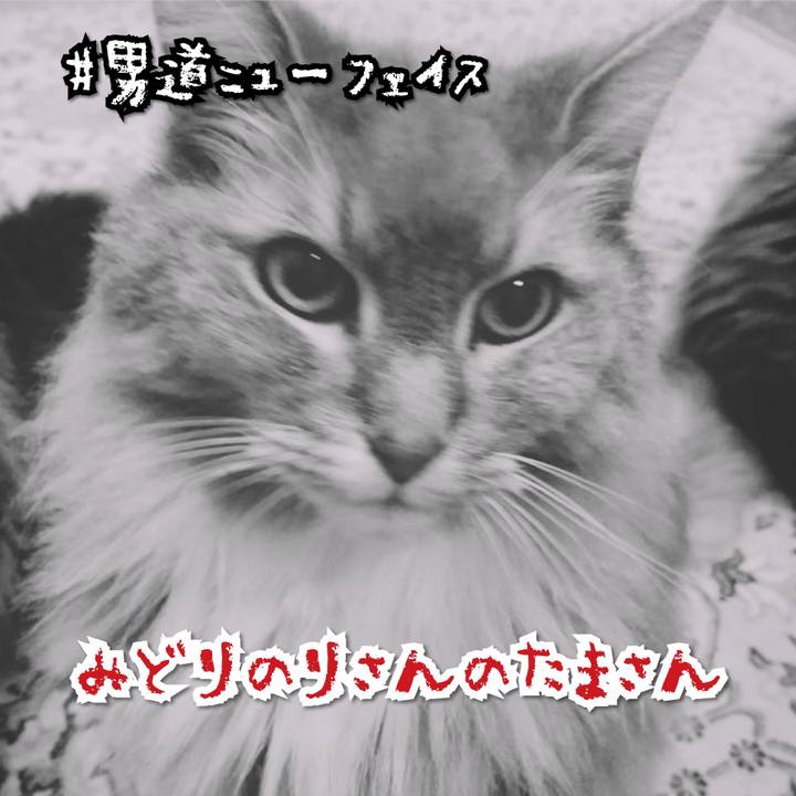 33f3b65c 7ee6 4a62 a5be 9ddfe899d29b 1566566821947