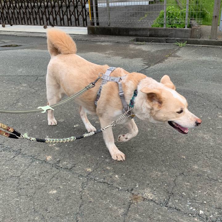 33f3d334 6122 4d4f bb67 273c95eece95 1560563684390