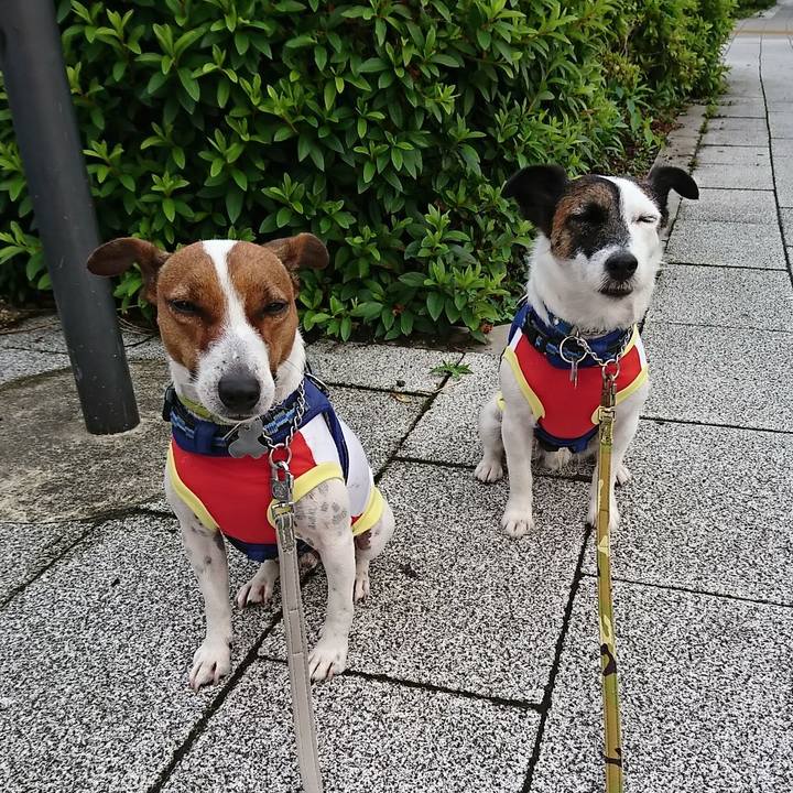 33f3fc15 8c30 463a 9389 5543cd4399f8 1591131898792