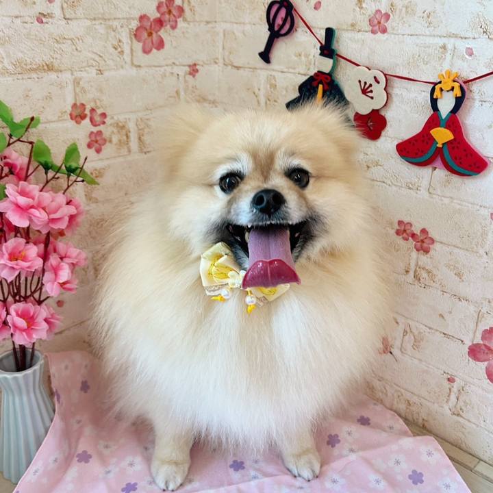 33f40b13 617d 40d5 a235 5880e1a872e3 1774359135629