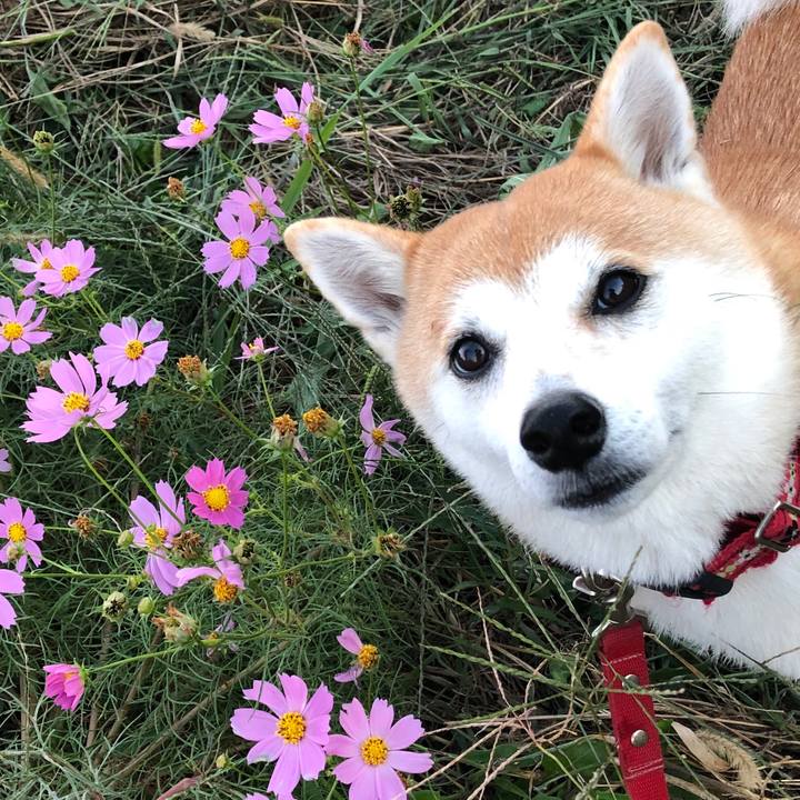 33f450c9 a813 4d88 b6a7 0ebf2b776c7c 1570665561633