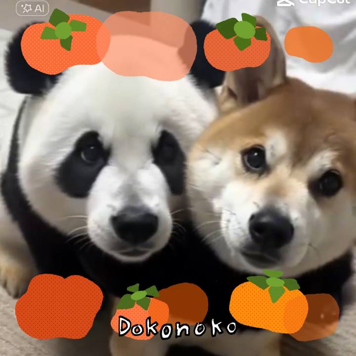 33f4687a 78e3 4382 873c 8ea6086a9861 1761257039196