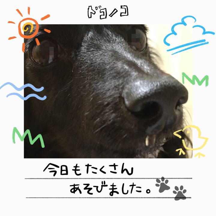 33f4ad45 52d7 4f8a b509 1f77ca5cb082 1755051916359