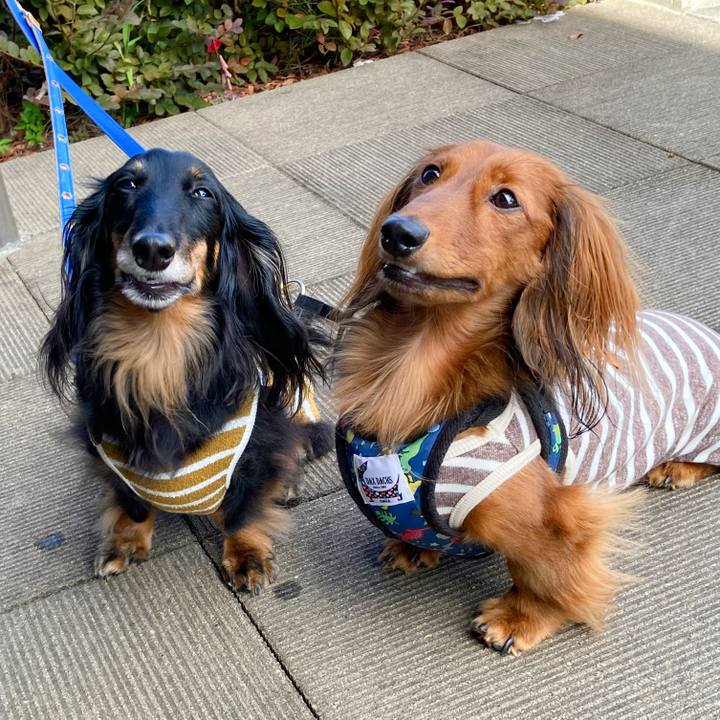 33f4b06a 5c97 4451 b45a a06bea9b5bb2 1760329155854