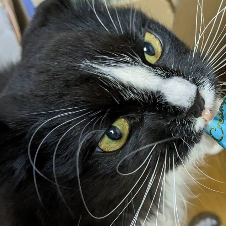 33f4fb45 d8e4 4d4e bc40 f24cbbf2fafc 1674997196897