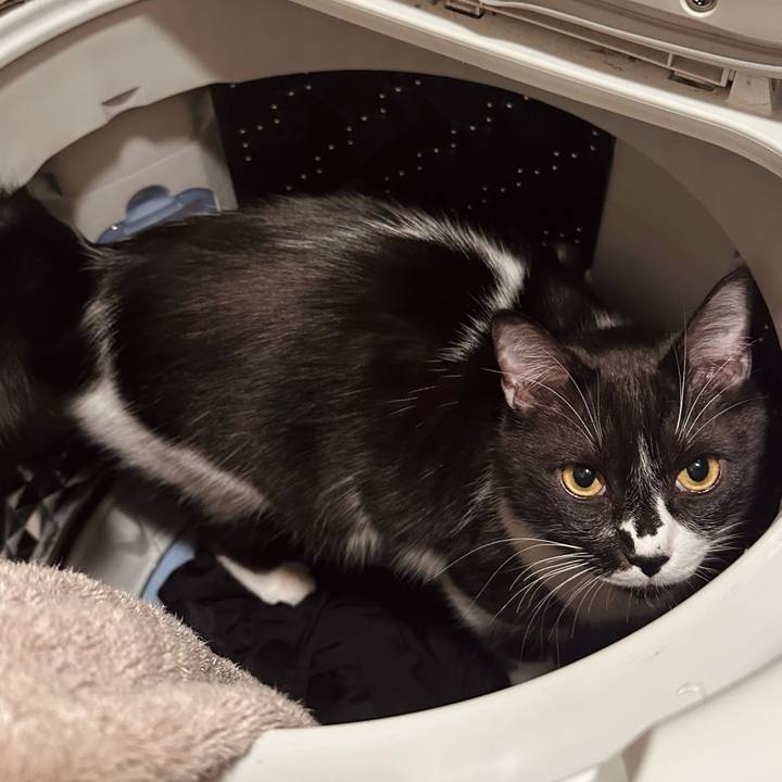 33f50c76 b64a 4b39 900b 06644b083f14 1766147423055