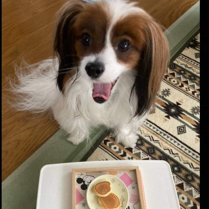 33f53bbe 2c57 4d5c 9f7e 98939bd5e146 1670730444121