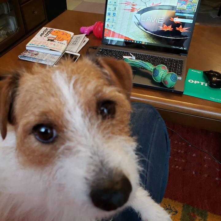 33f570f0 3a48 46b4 8ae9 1dea674125bf 1589952864436