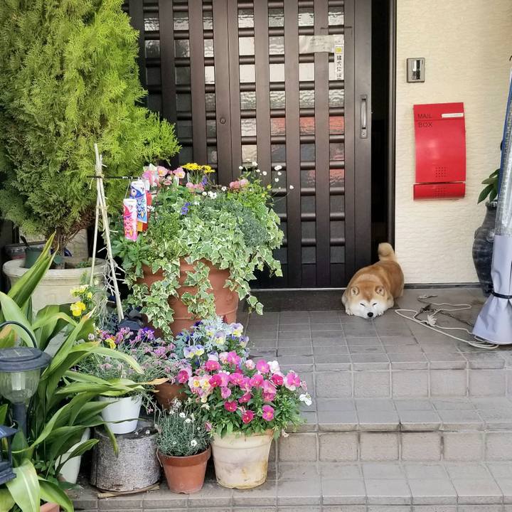 33f5941c a788 4947 a948 b4fb5ca73c4a 1654298662804