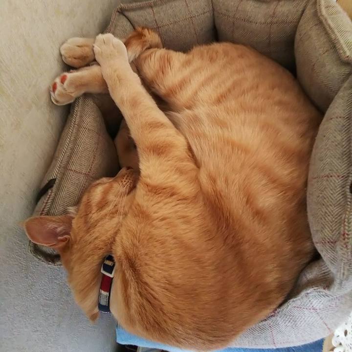 33f59706 3390 4d4f 84ad 33603d128904 1607059730116