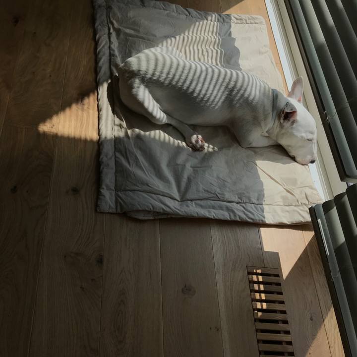 33f5daf9 60ea 43bc 98f8 9baffb59bd10 1564455009318