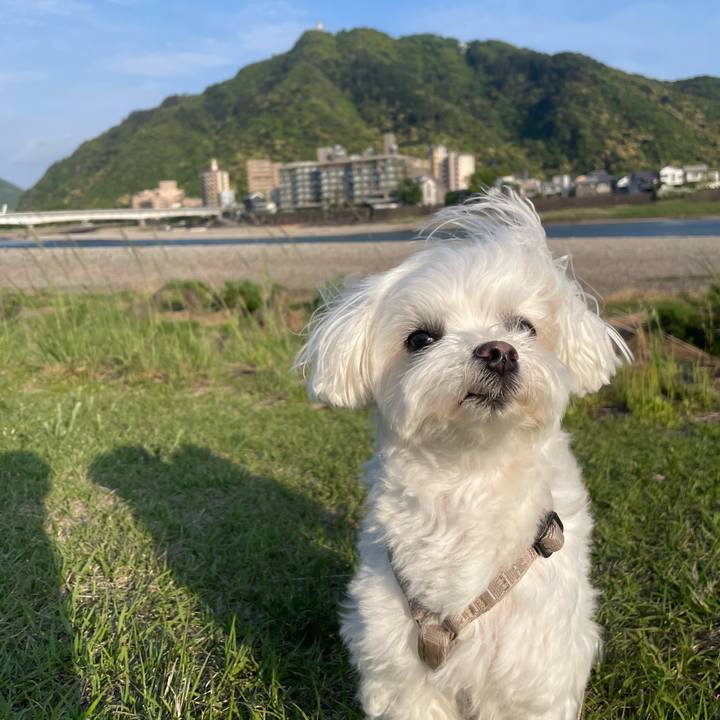 33f5e907 0ecb 4e6b 8d5f cae22fbfa907 1777117559316