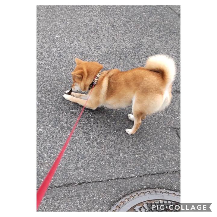 33f601e6 8dc0 4537 b66b 8c675b14c3ac 1671261020198