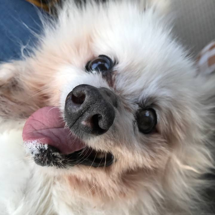 33f603ee 3545 48b3 bc64 eb48c64144ee 1527696970394