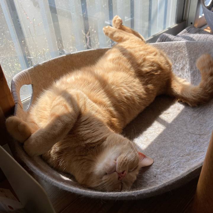 33f61e92 f85c 46af 9fc8 b737bf1a4a48 1712062809425