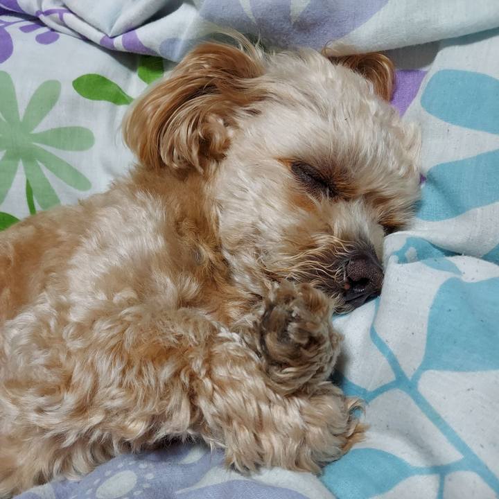 33f636b6 302c 4e3f be65 9afcdf3d4ea4 1651754957853