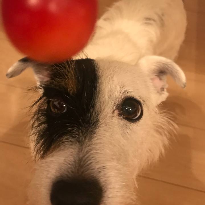 33f6418d 510b 4b65 bdaf 5b072b80fe0b 1530192029954